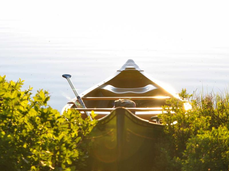 sudoku solving methods screenshot 1